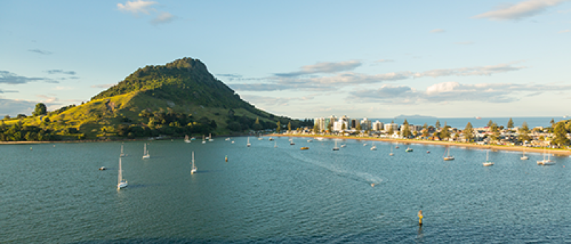 places resized mtMaunganui